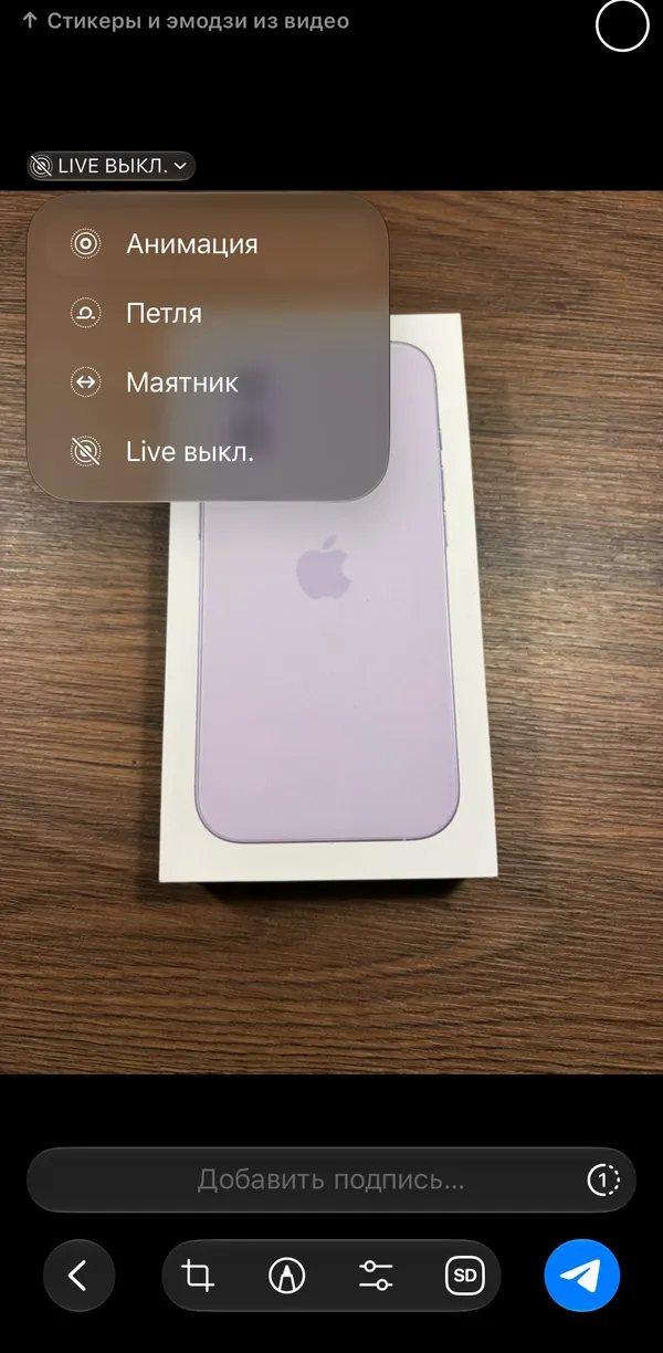 Telegram's Live Photo preview on iPhone with the Live menu open: Live, Loop, Bounce, Live off